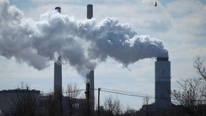 Columna de humo en una planta de producción eléctrica por carbón en Baltimore (Maryland).