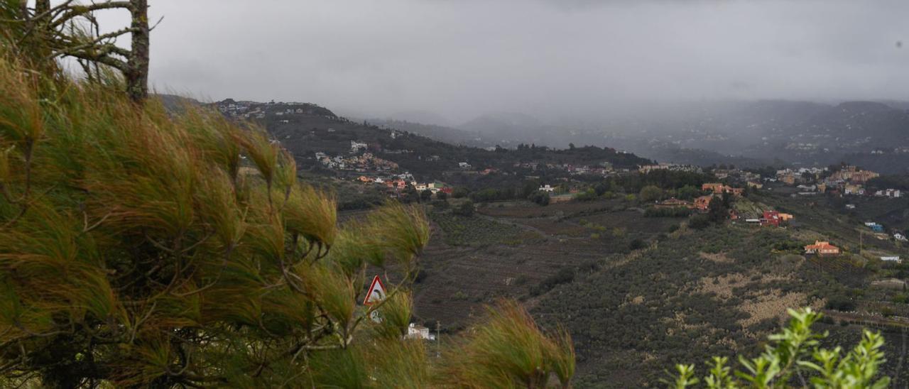 Viento y cielos encapotados en el Pico de Bandama, a mediodía de ayer. | | JUAN CASTRO