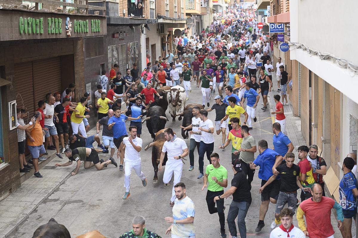 Imagen de archivo del encierro de cerriles de Samuel e Isabel Flores, en les Penyes en Festes del 2025