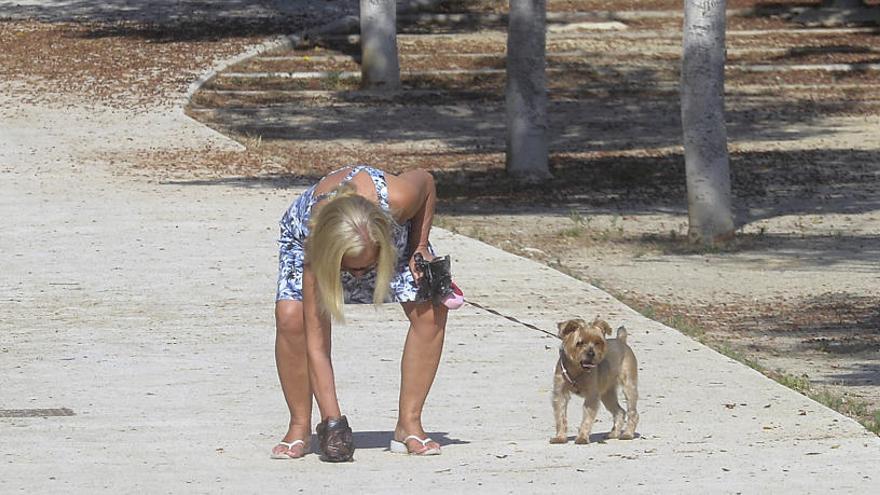 Una ciudadana recoge los excrementos de su perro, en una actitud que el Ayuntamiento quiere que sea habitual