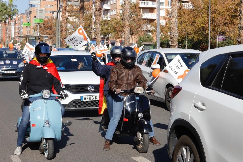 Miles de murcianos protestan en las calles contra la ley Celaá