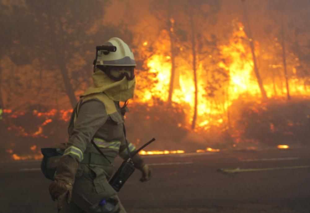 La ola de incendios forestales alcanzan a Santiago