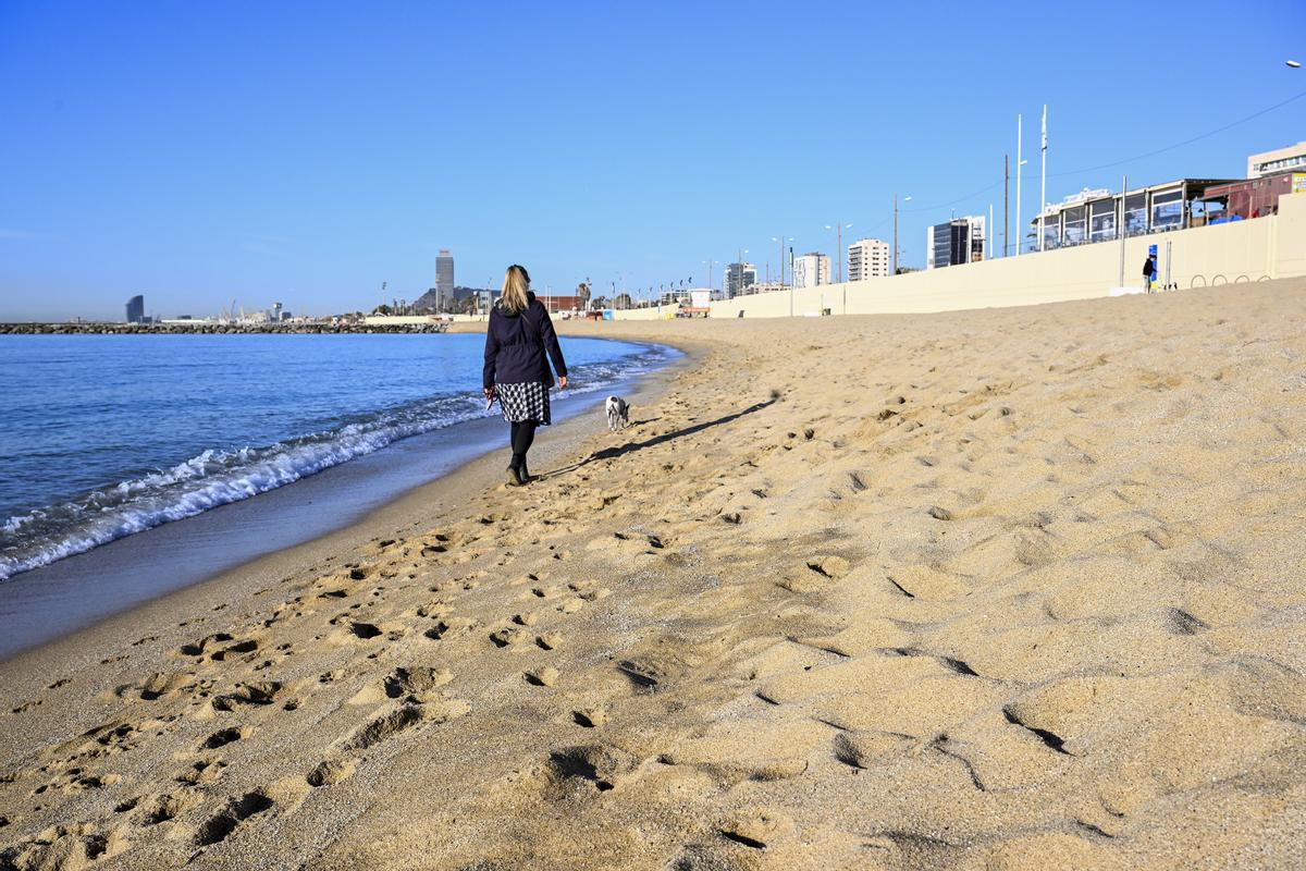 Barcelona ja fa vuit anys que demana sense èxit sorra per a les seves platges