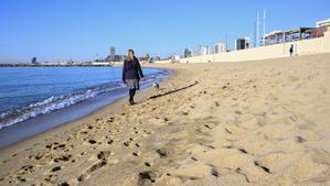 Barcelona ja fa vuit anys que demana sense èxit sorra per a les seves platges