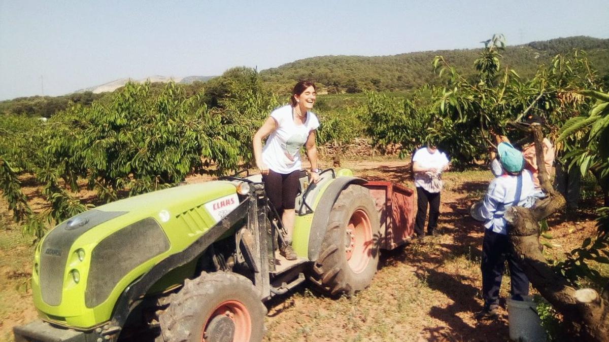 Teresa Vendrell, sobre el tractor, en la explotación que ostenta desde hace dos años en Begues (Baix Llobregat)