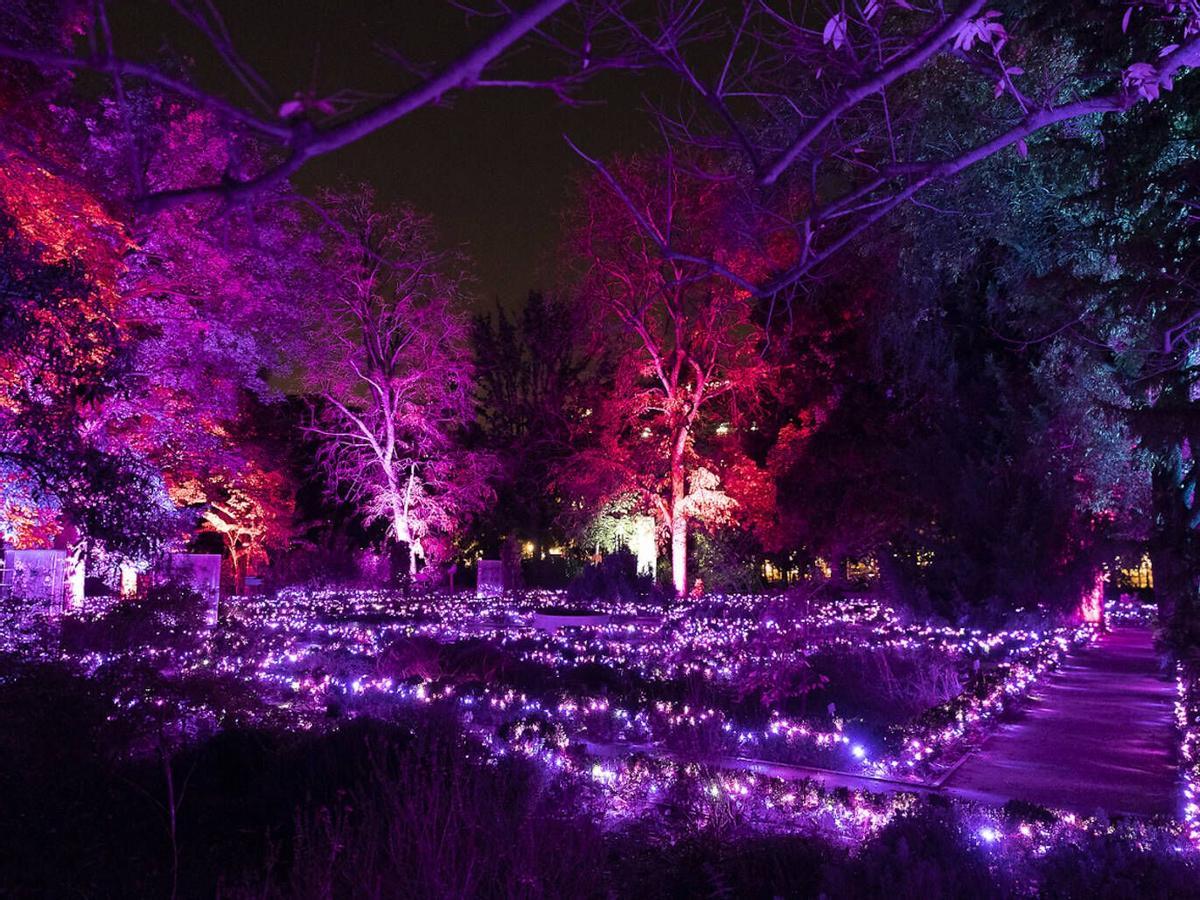 Luces de Navidad en el Jardín Botánico