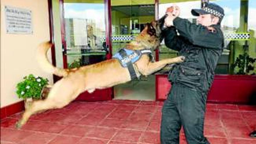 La policía local impone cerca de noventa denuncias por drogas