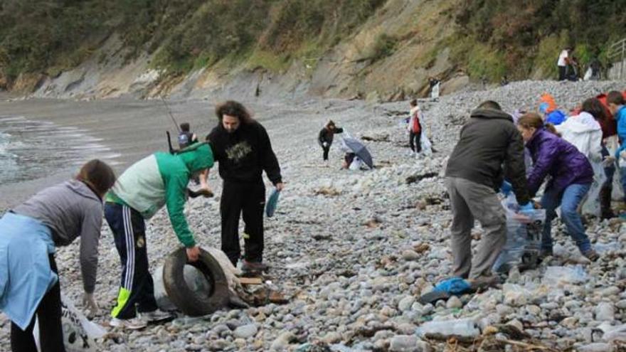 Los voluntarios trabajando en una de las playas franquinas.