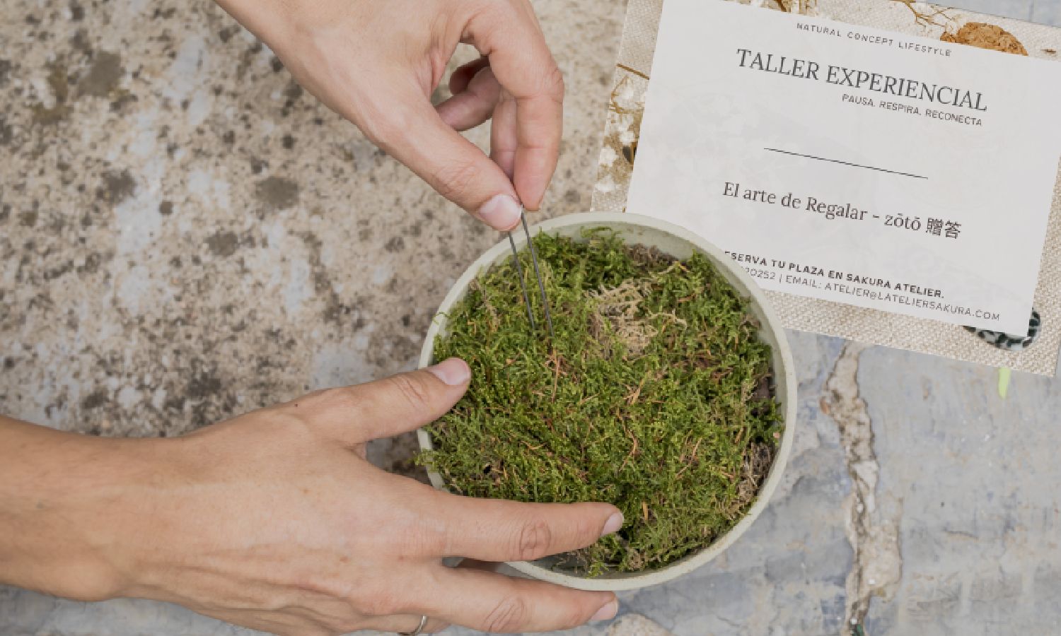 Sakura Atelier, talleres