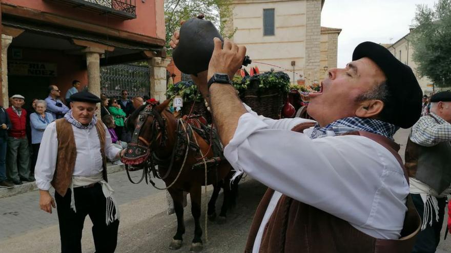 Toro de fiesta