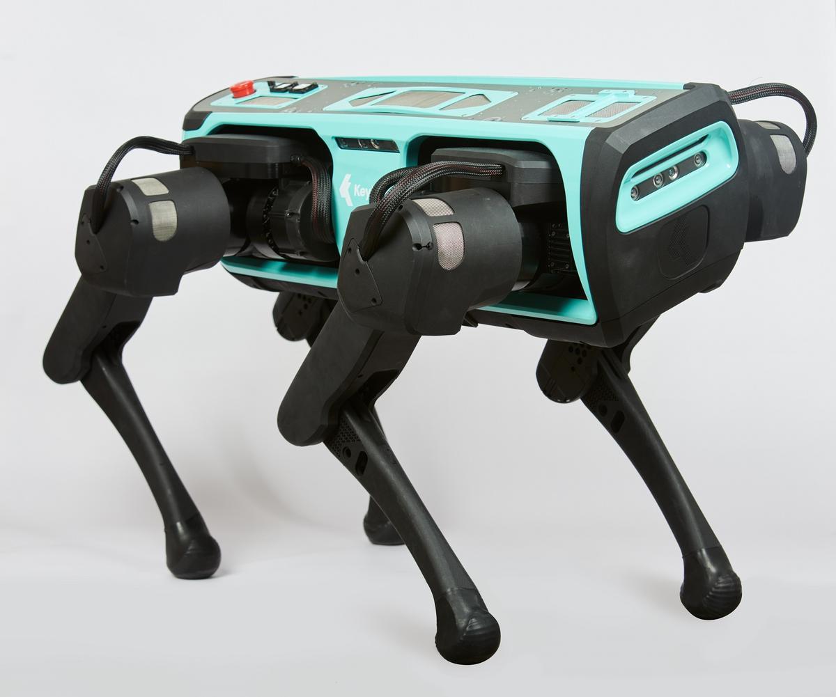 Perro robot Keyper