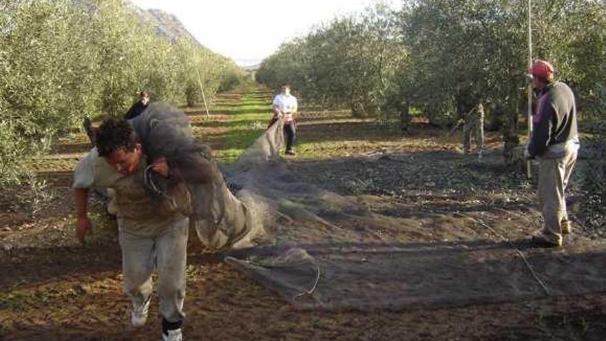 La agricultura tiene efectos sobre los acuíferos de la provincia.