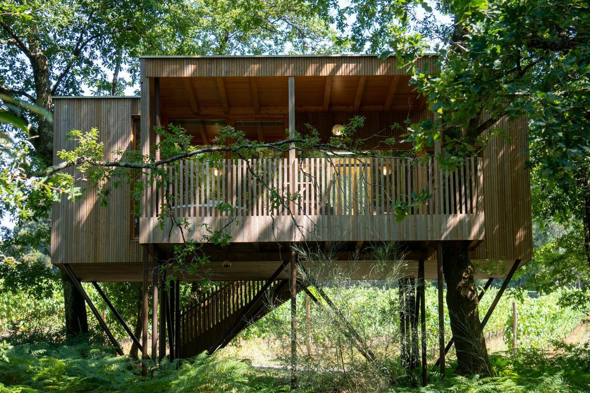 La cabaña "Carballo", de María Manuela Enoturismo