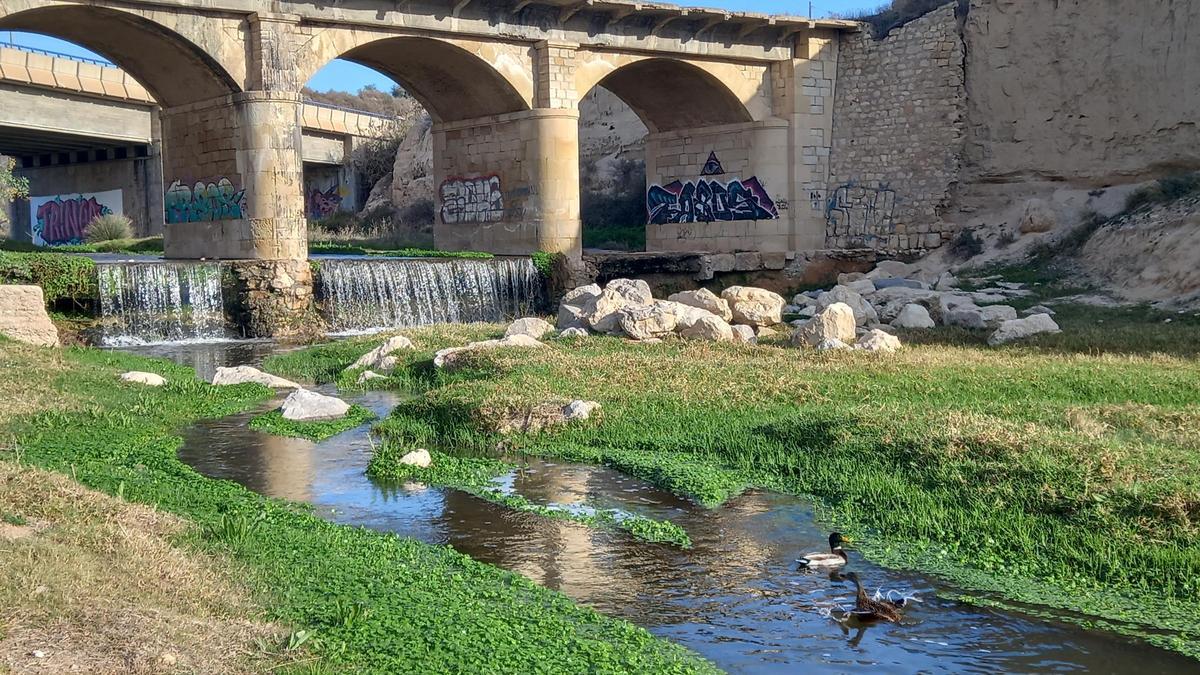 El río Montnegre a su paso por El Campello