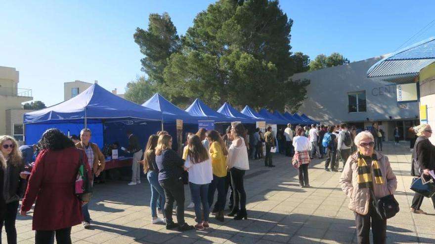 La primera Feria de Empleo de Calvià ofrece 552 puestos de trabajo