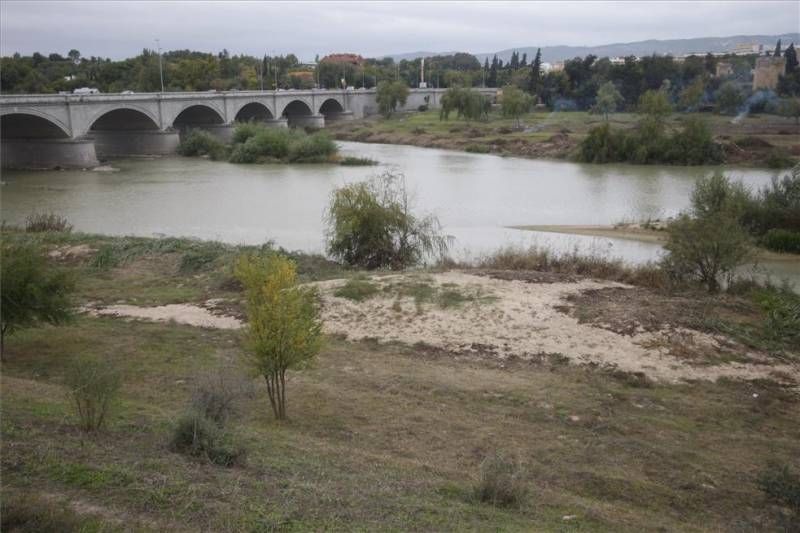 Labores de limpieza en el río Guadalquivir