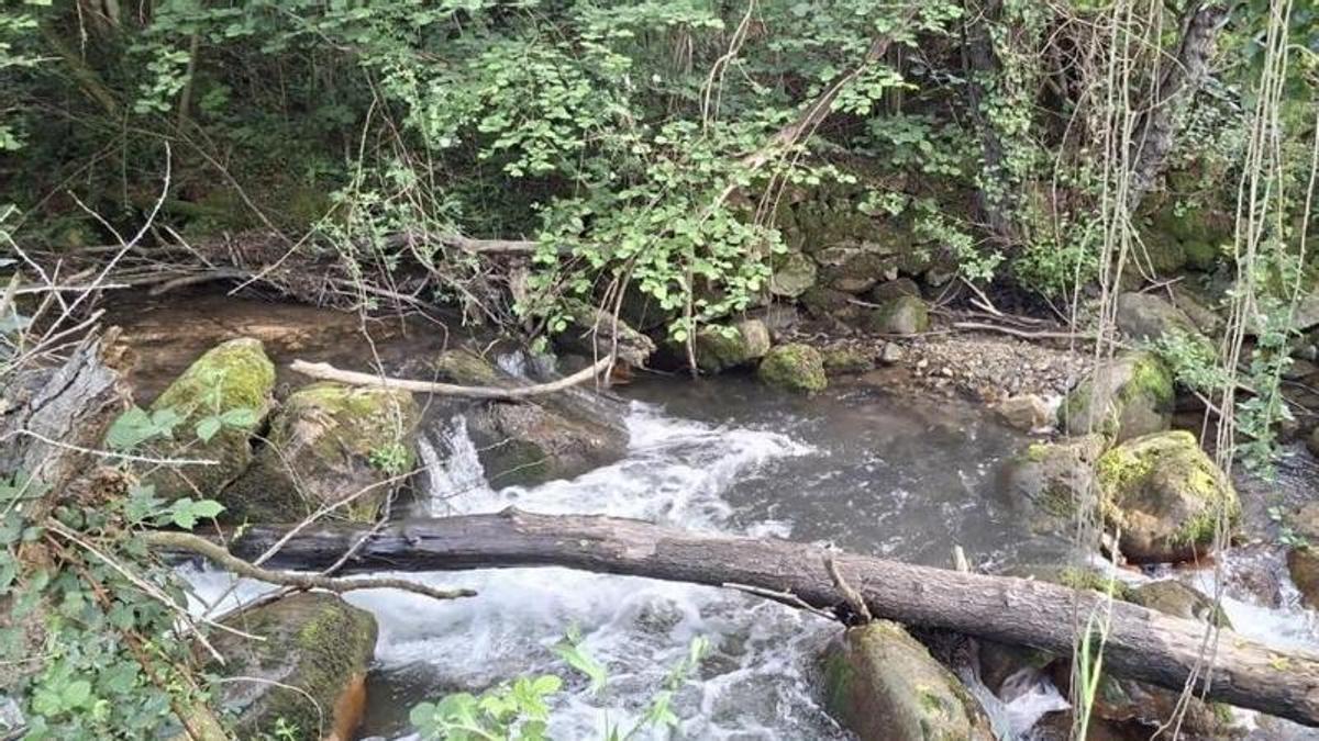 Estado del río Páramo, en Teverga, al inicio de los trabajos.