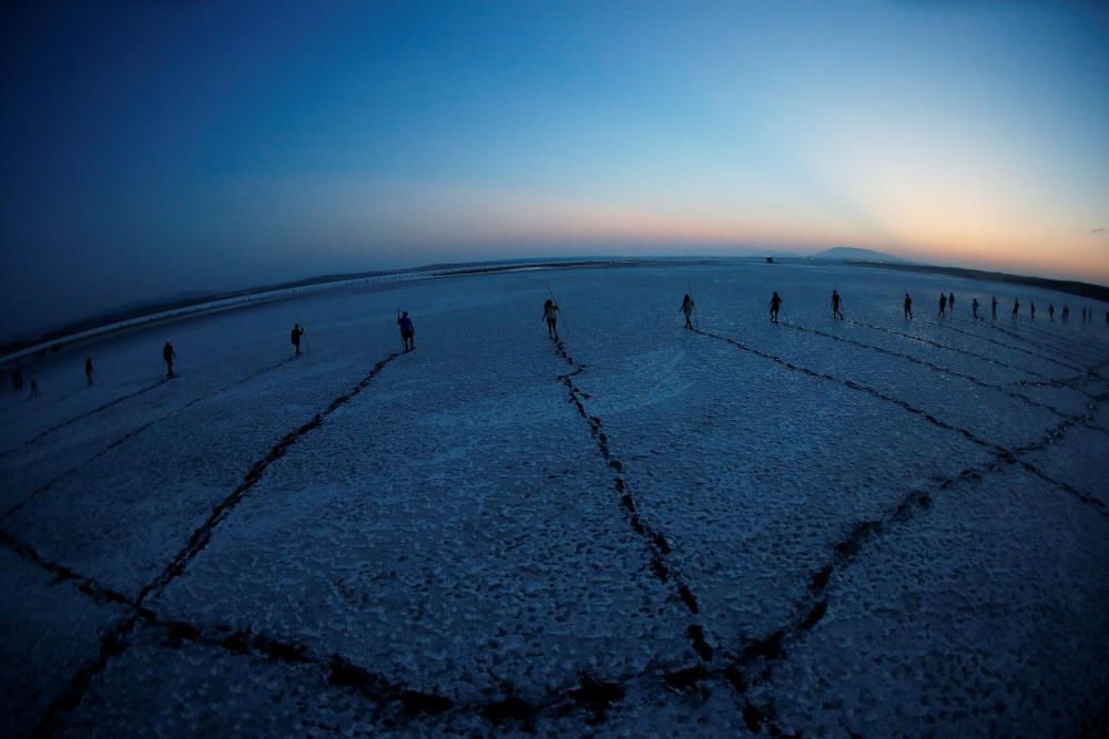 Volunteers wade across the lagoon at dawn to ...