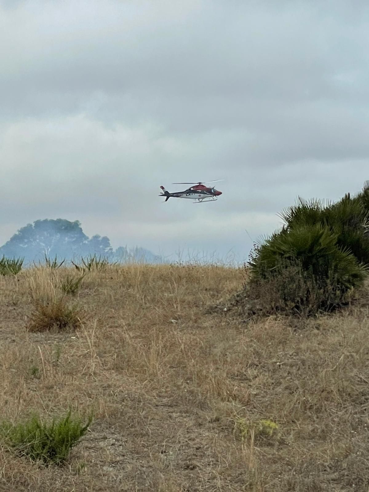 Incendio del paraje Cerro del Mesto de Mijas