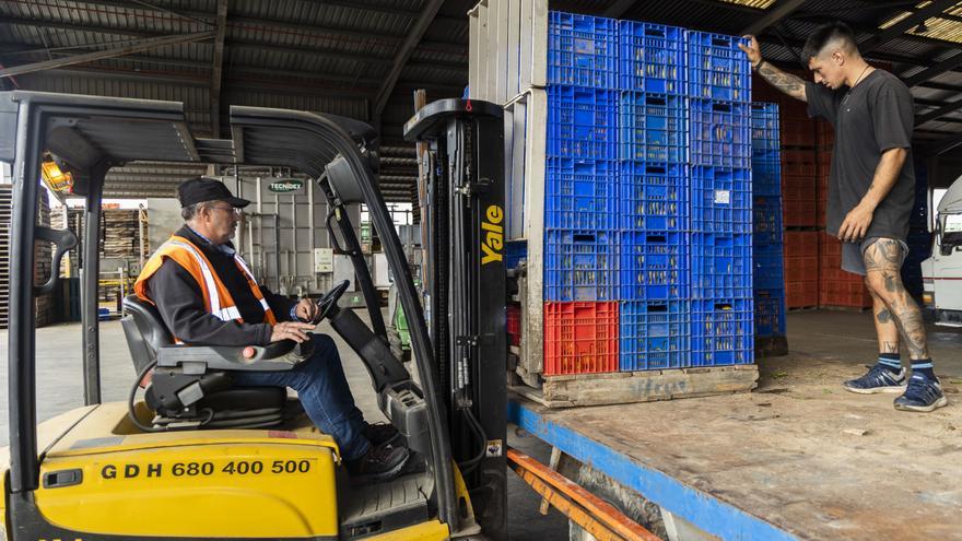 Se buscan trabajadores en la Comunitat Valenciana en almacenamiento y transporte