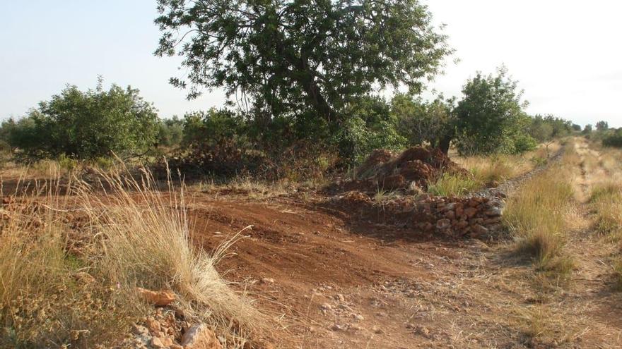 El polígono Soterranyes de Vinaròs vuelve a dividir al ejecutivo local