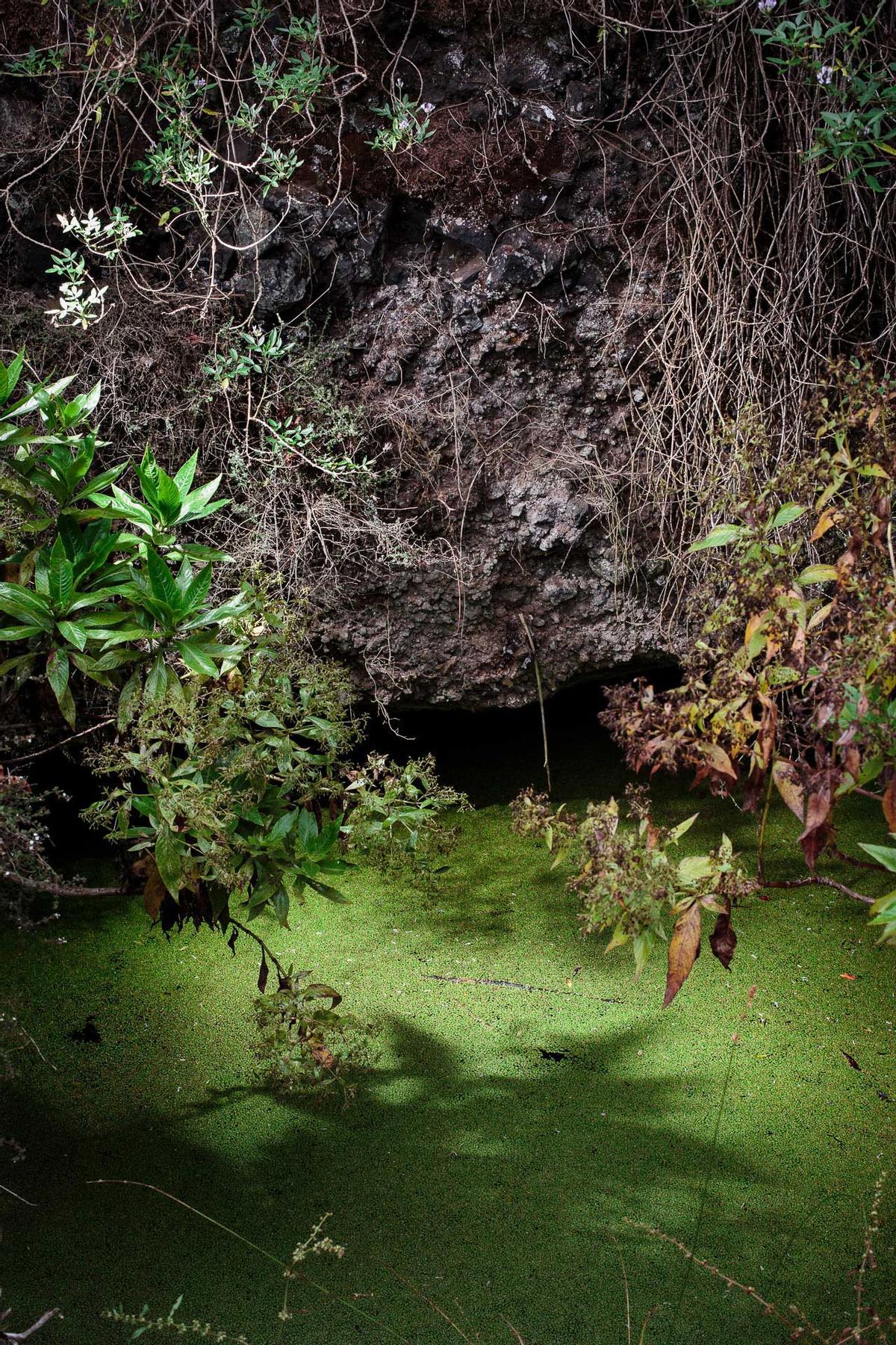 Una instantánea tomada en El Hierro.