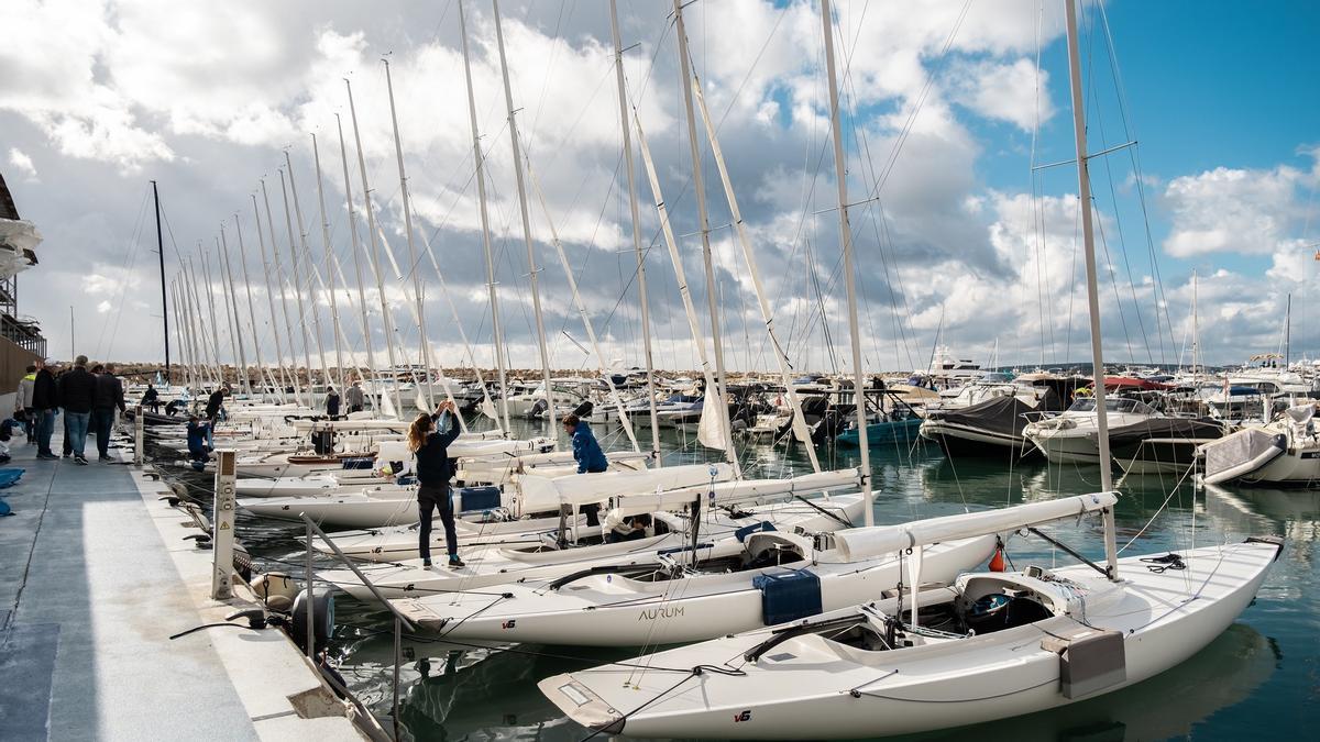 Las embarcaciones de la clase Dragón, amarradas en Puerto Portals