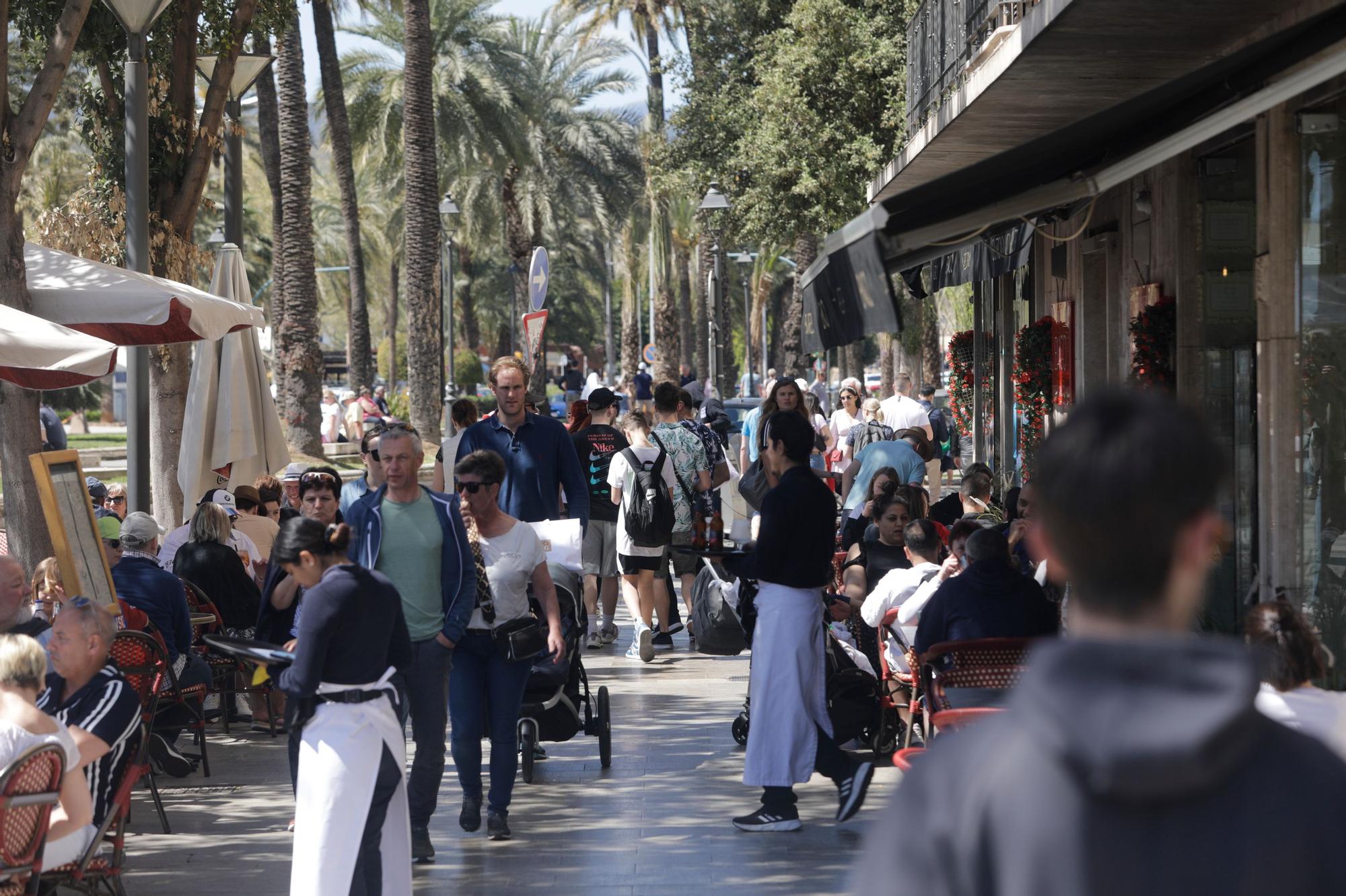 Mallorca empieza a rebosar: los turistas llenan las playas y también el centro de Palma