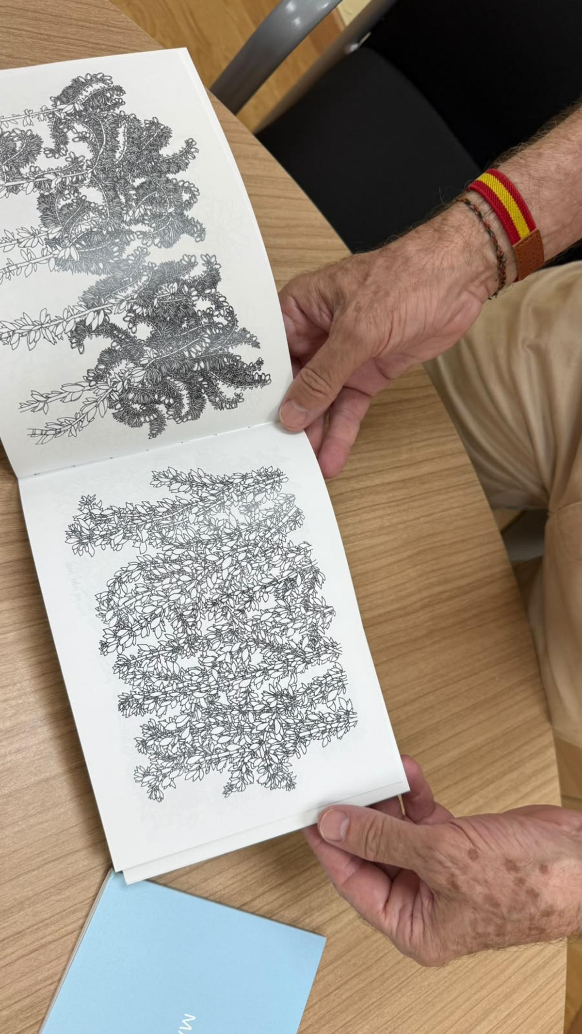 Obras al detalle del autor ilicitano.