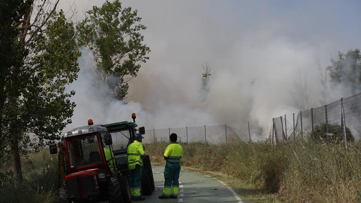 Imagen del humo visto desde el paseo del río, por detrás de la carretera de la Aldehuela.