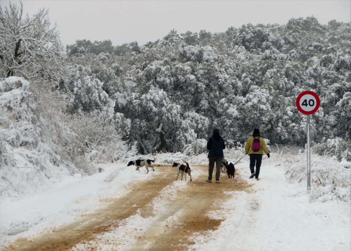 Blanca Extremadura