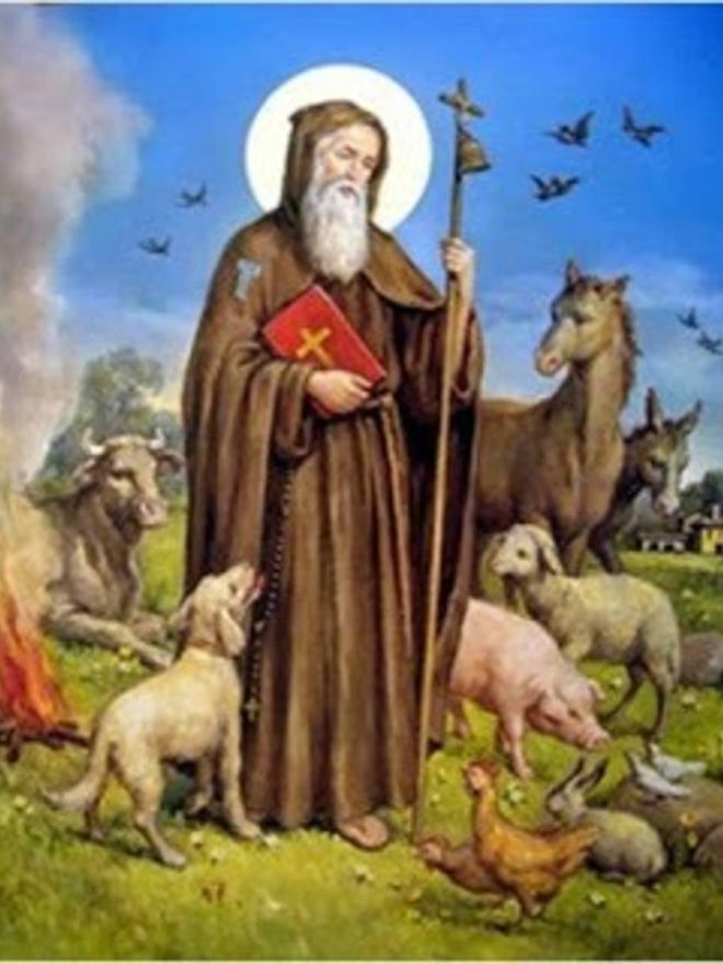 San Antoni, siempre vinculado a animales.