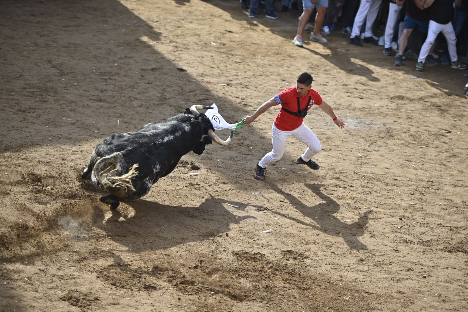 Galería | Primera tarde de toros en Almassora