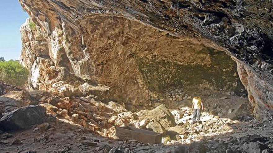 Menschliche Knochen in Kalk eingebettet: Erforschung der Cova de Na Dent in der Nähe von Cales de Mallorca an der Ostküste