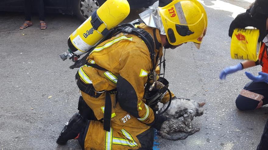 Investigan la violación de una mujer y el incendio intencionado de su casa en Palma