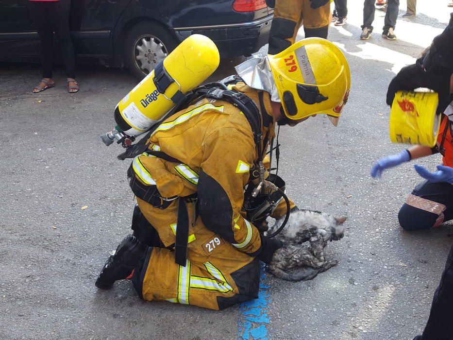 Investigan la violación de una mujer y el incendio intencionado de su casa en Palma