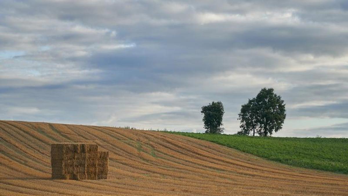 De los 5 millones de los Fondos Leader, 500.000 se recuperaron para canalizarlos al Plan Estratégico de la Política Agraria Común (PEPAC).