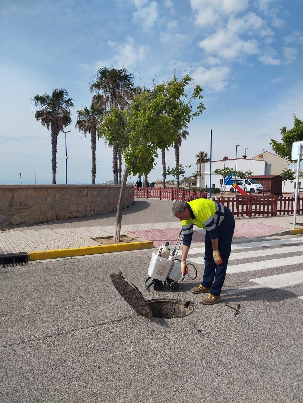 Desratización y desinsectación.