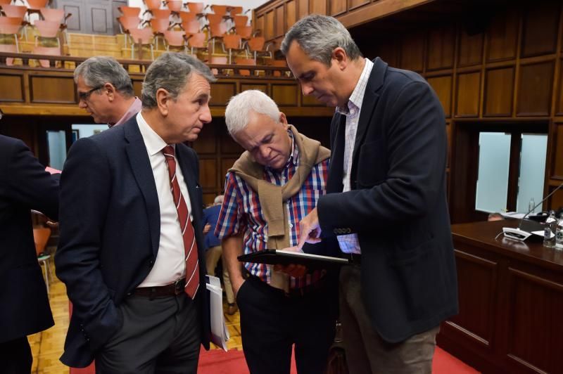 Pleno del Cabildo de Gran Canaria (29/11/19)