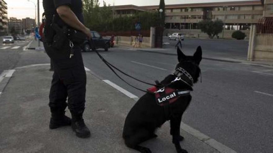 La Unidad Canina constata una caída de la venta de droga a la puerta de los institutos