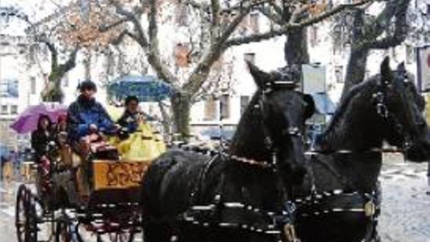 Cercavila de la Festa de Sant Antoni Abat de Solsona