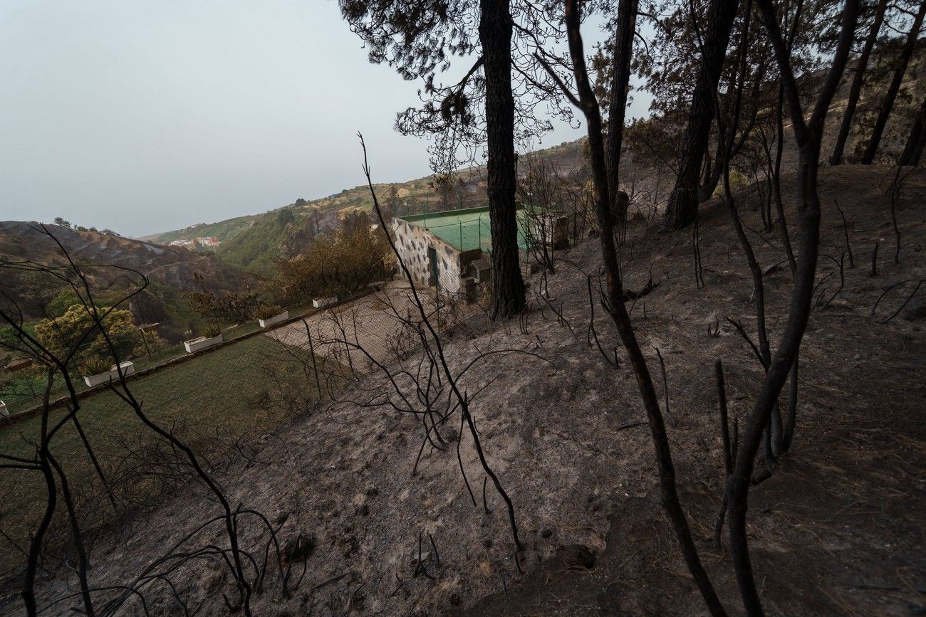 Así ha quedado el monte de Tenerife por el incendio