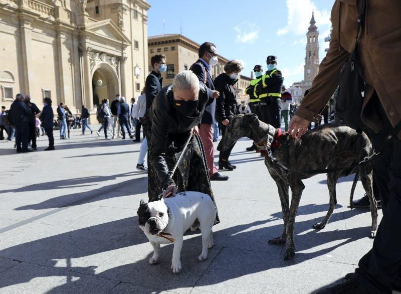 La basílica del Pilar recibe a los zaragozanos con aforo reducido y medidas de seguridad