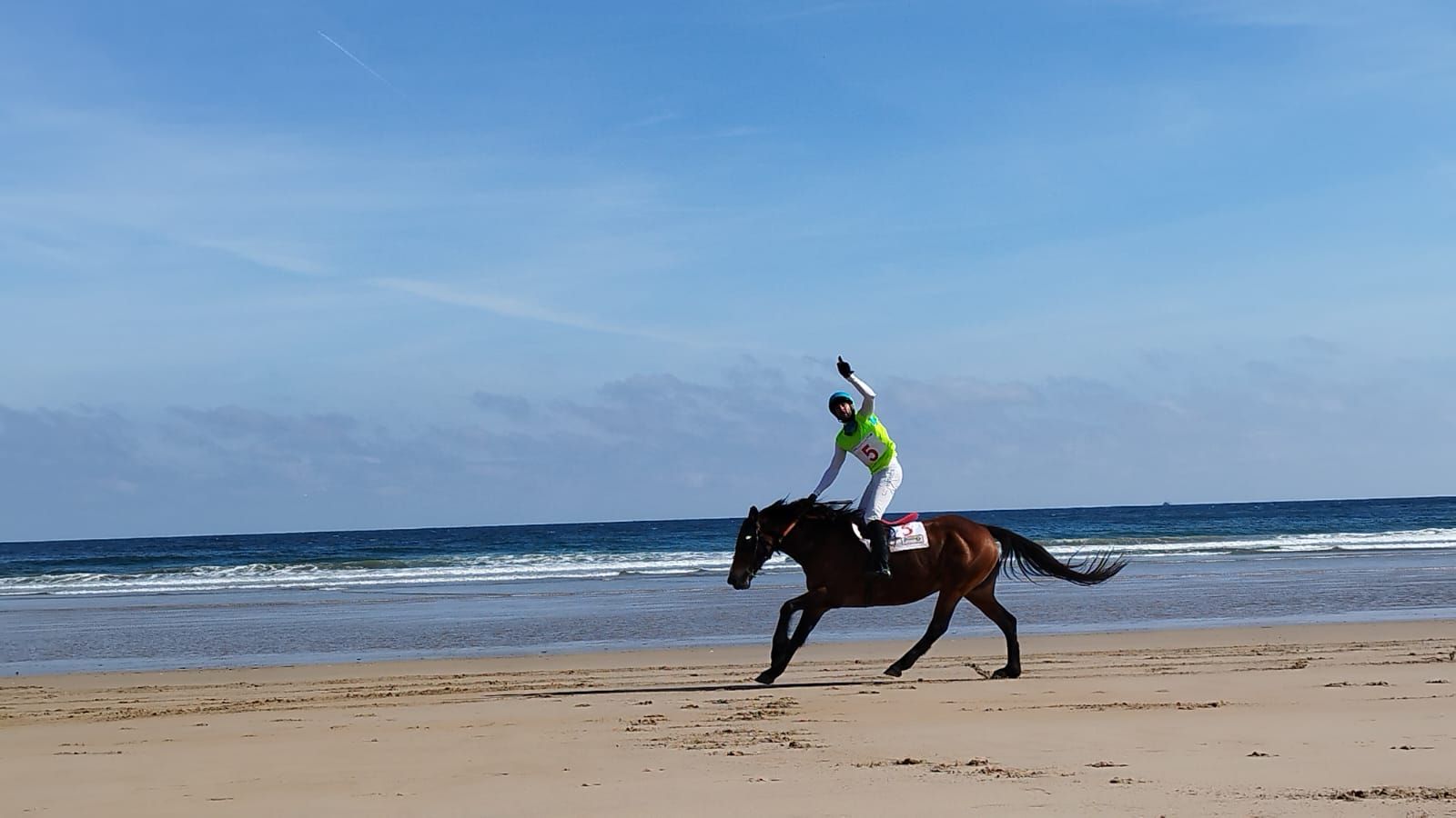 Carreras de caballos playa