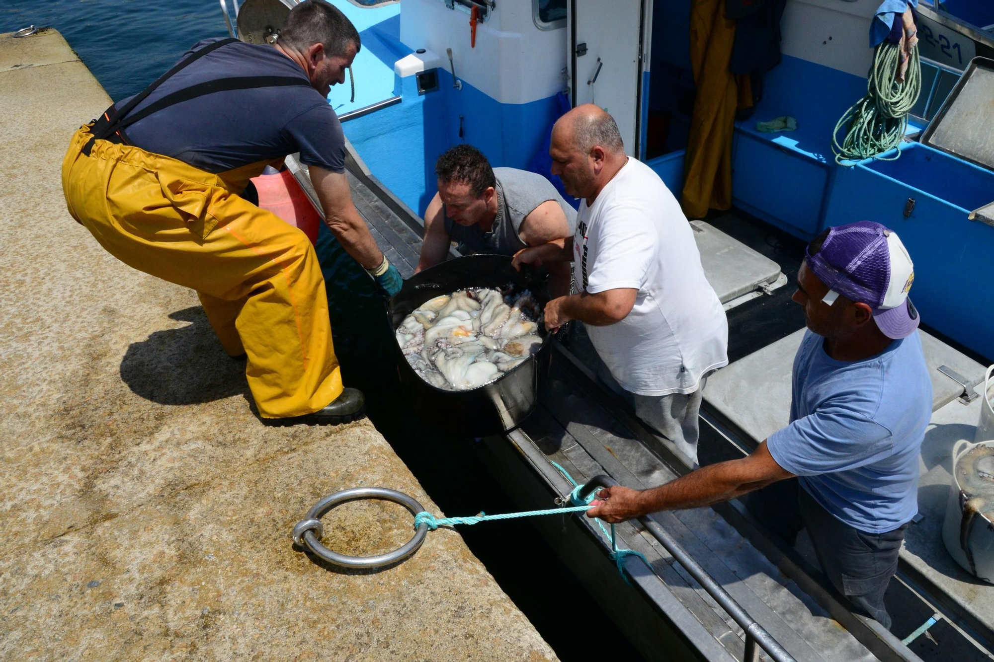 El inicio de la campaña del pulpo en el puerto de Bueu
