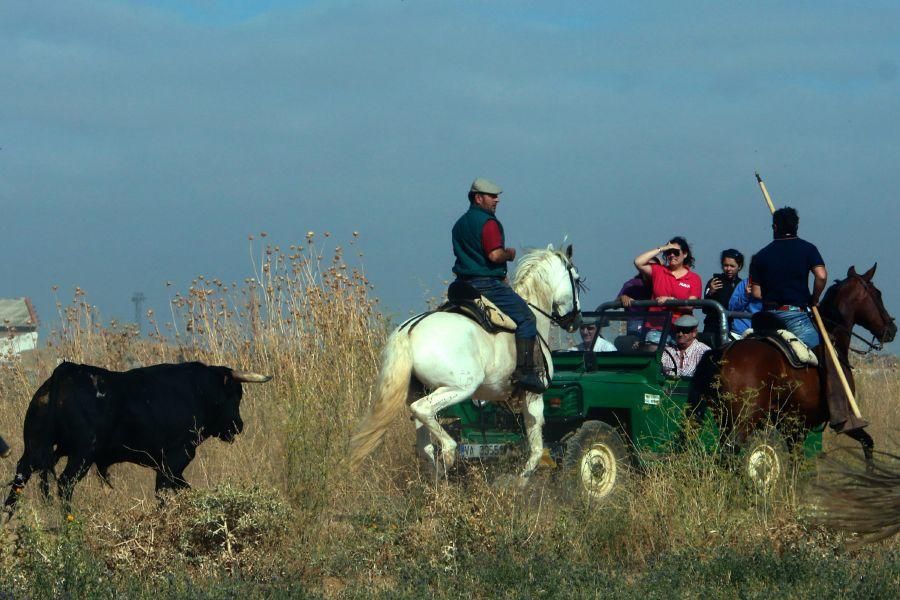 Villalpando despide los toros