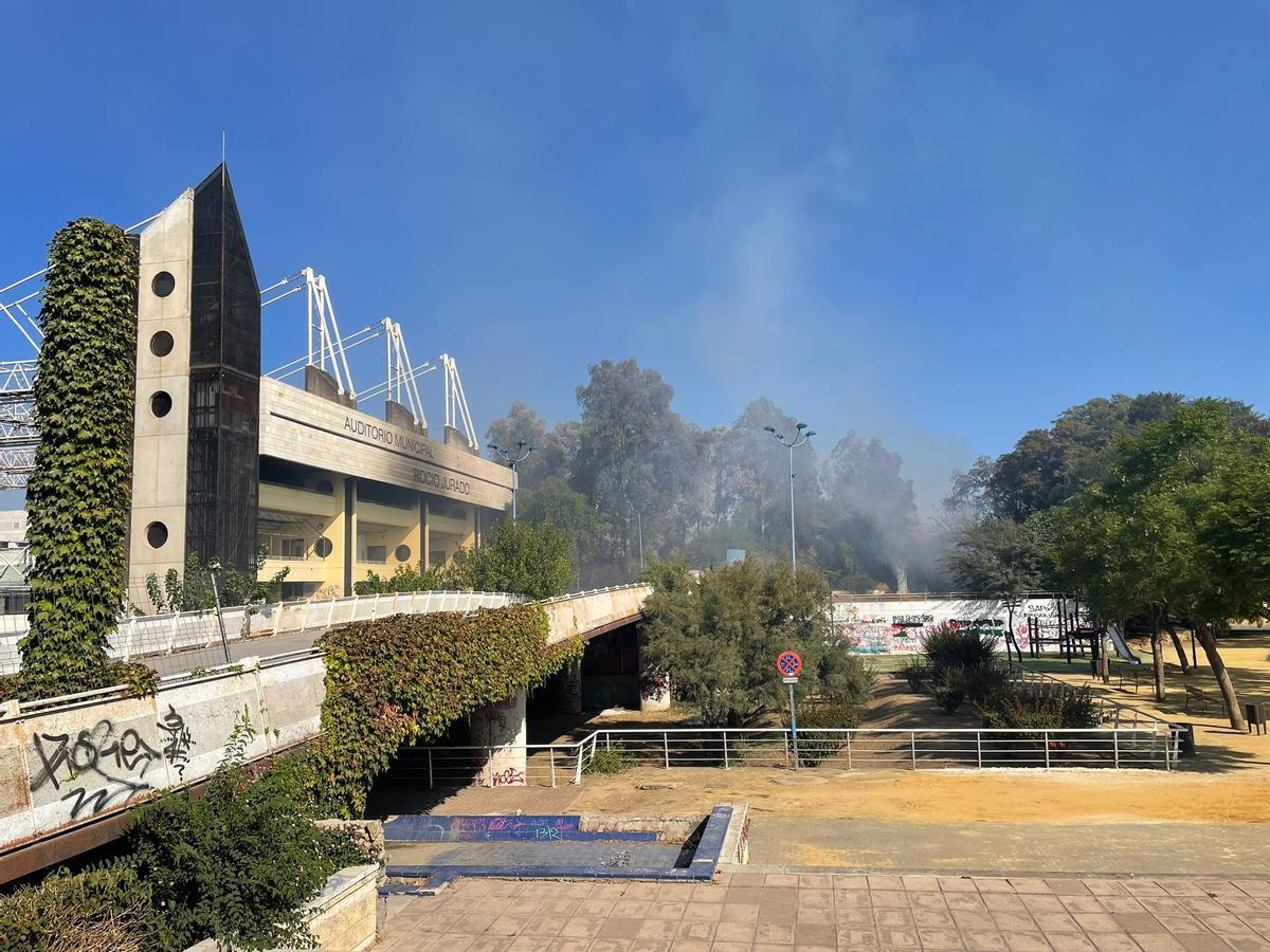 Fotogalería | Las imágenes del grave incendio junto a La Cartuja con ...