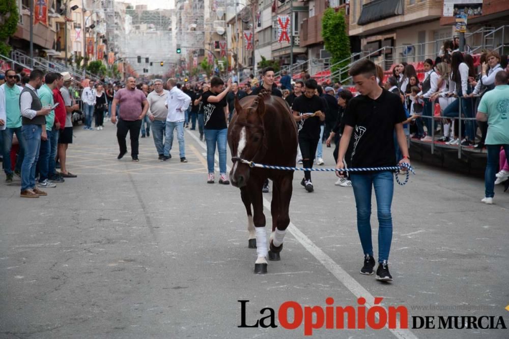 Caballos del Vino: Concurso morfológico (salida Pl