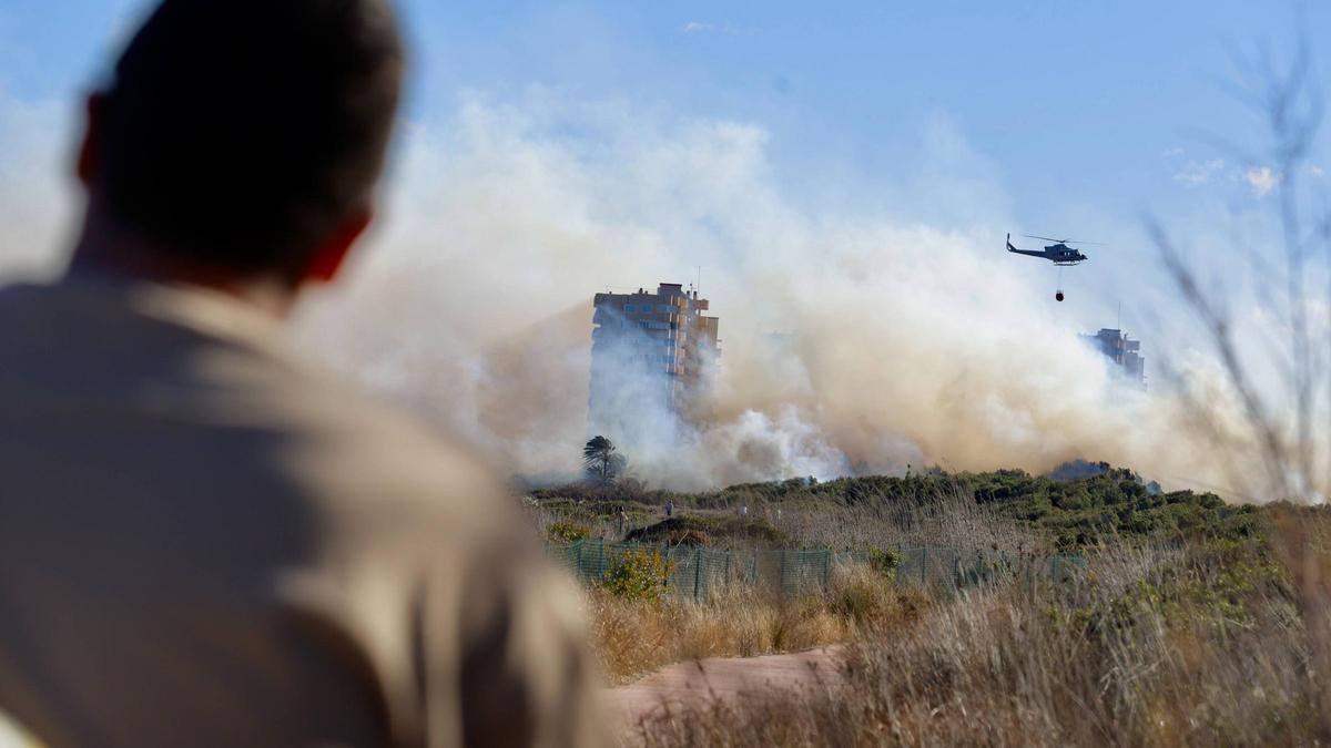 L’incendi del Saler va calcinar 14 hectàrees de la Devesa