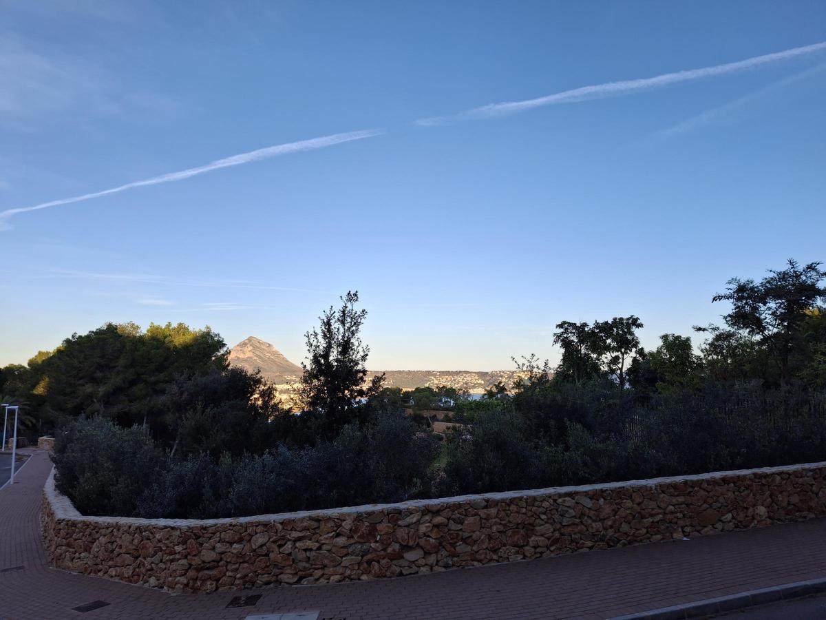 El seto que impide a quienes pasean por el Carrer l'Illa contemplar la bahía de Xàbia